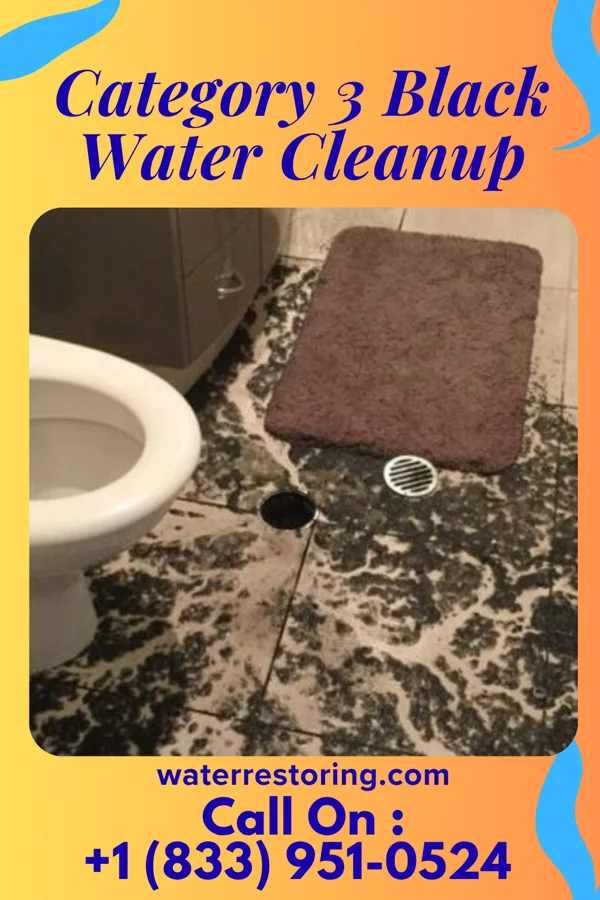 Category 3 Black Water Cleanup in Wynona, OK
