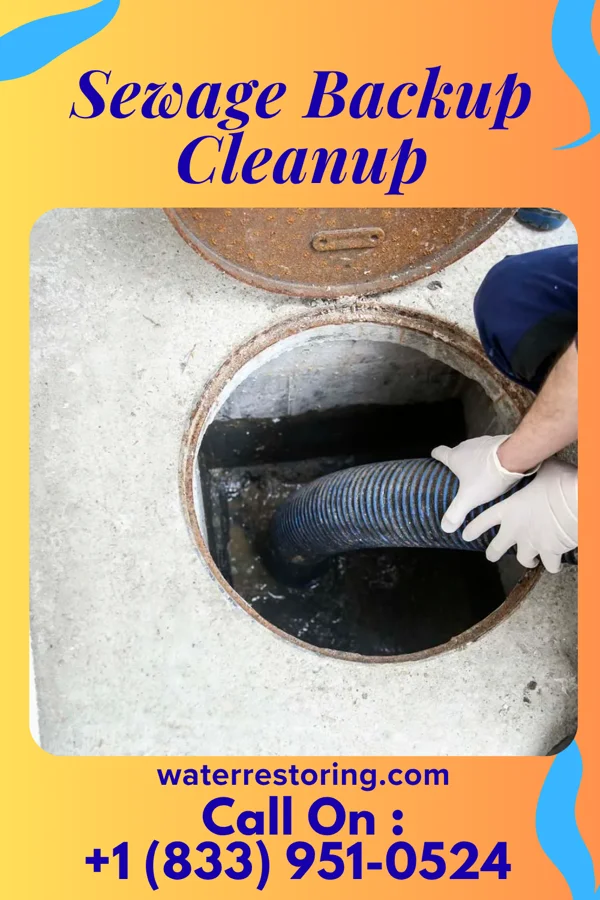 Sewage Backup Cleanup in Wynona, OK