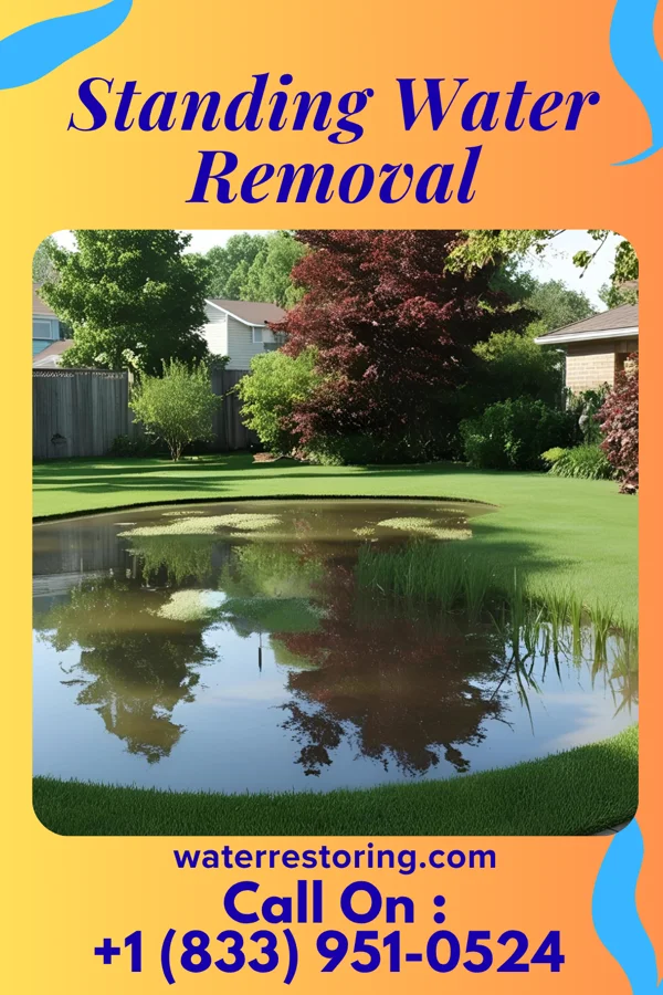 Standing Water Removal in Wynona, OK